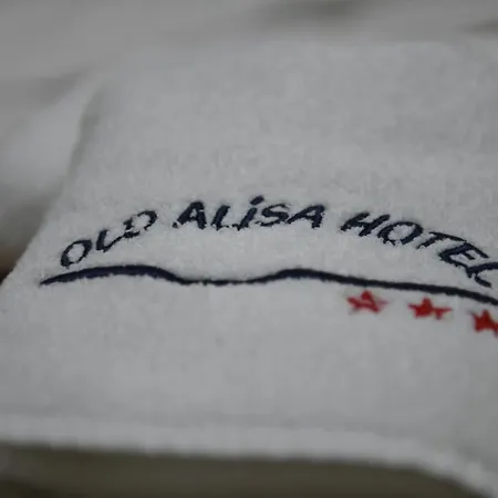 Old Alisa Hotel