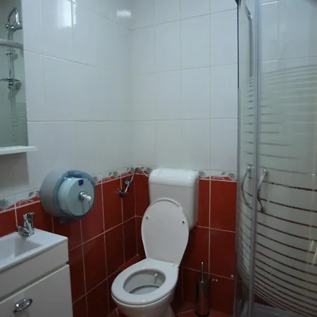 Hotel Old Alisa