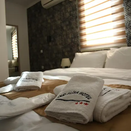 Old Alisa Hotel *